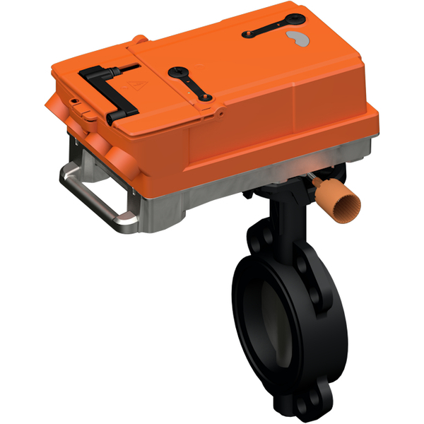 D6100W + JRCA-S2-T